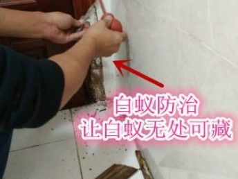 深圳專業保潔與除蟲服務 工廠、商店、展廳的全方位清潔解決方案